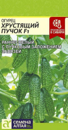 Огурец Хрустящий Пучок F1 5шт Семена Алтая