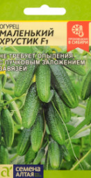 Огурец Маленький Хрустик F1 6шт Семена Алтая