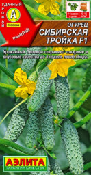 Огурец Сибирская тройка F1 10шт Аэлита цв