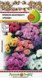 Примула Рози F1 5шт НК цветы