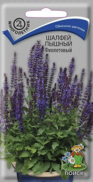 Шалфей дубравный пышный Фиолетовый 0,1гр Поиск
