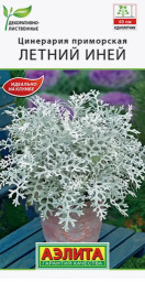 Цинерария Летний Иней 0,05гр Аэлита цветы